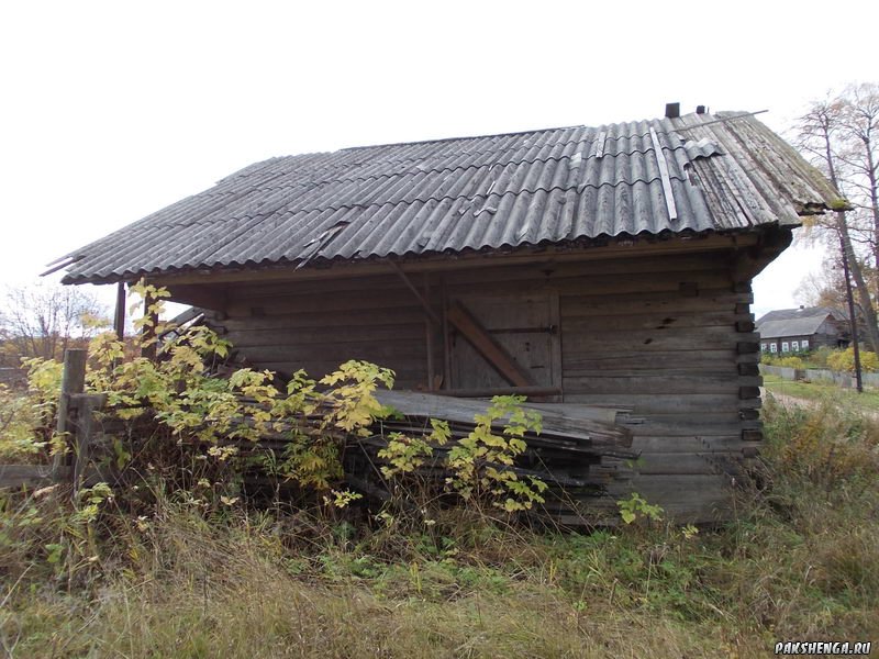 В деревне Подгорье. Осенью 2012 г.